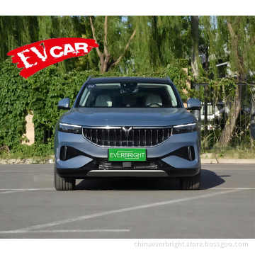 NUOVO SILVER PURE ELETTRICE SUV 2021 VOYAH FREE NEDC 505km Max Power 255KW